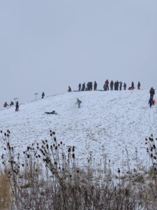 IMG_1686 IMG_1686