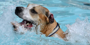 DSC_0879 DSC_0879