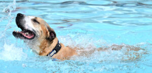DSC_0889 DSC_0889