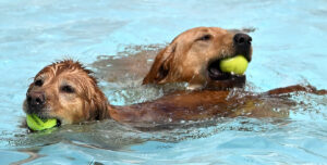 DSC_0897 DSC_0897