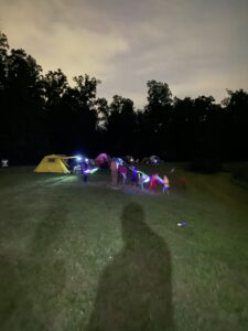 IMG_1299