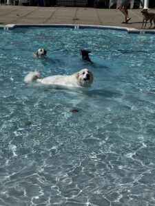 IMG_5428 IMG_5428