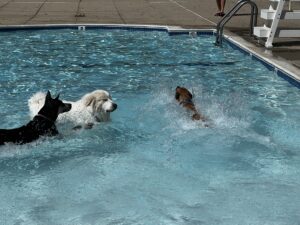 IMG_5435 IMG_5435