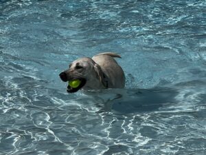 IMG_5438 IMG_5438