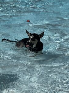 IMG_5439 IMG_5439