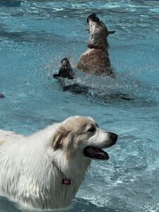 IMG_5442 IMG_5442
