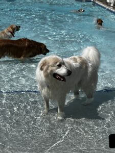 IMG_5448 IMG_5448