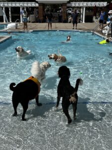IMG_5458 IMG_5458