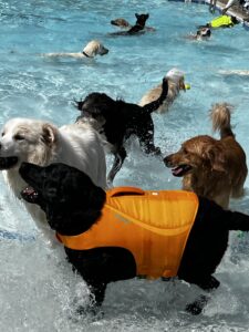 IMG_5463 IMG_5463