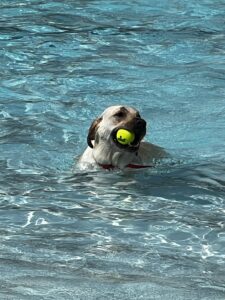 IMG_5466 IMG_5466