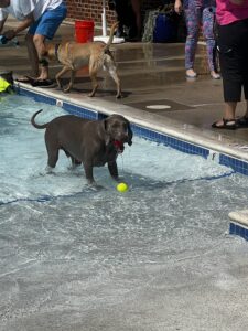 IMG_5484 IMG_5484